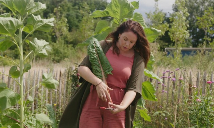BinnensteBuiten Moestuin: zo plant je een saffraan krokus