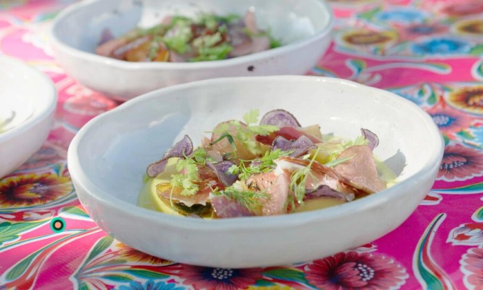 Aardappelboeren in Medemblik