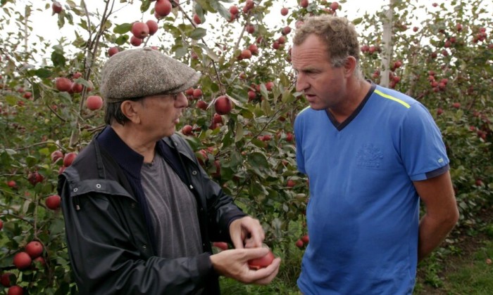 Alain bezoekt een biologische fruitteelt met betoverende appels.