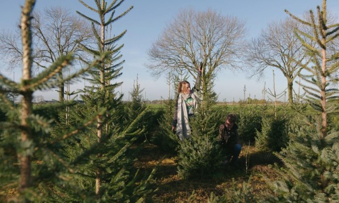 Kerstbomen actie Manon en Simon