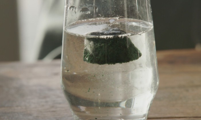 Voedzame algen Rotterdam