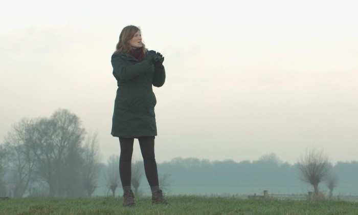 Ransuilen en watervogels Eempolder