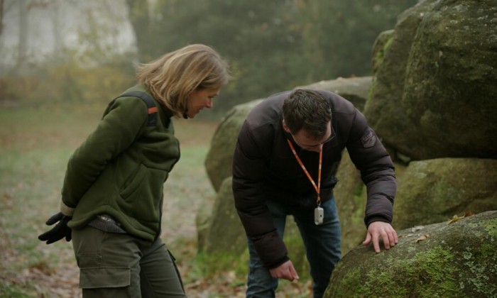 Hunebedden met verschillende soorten mos