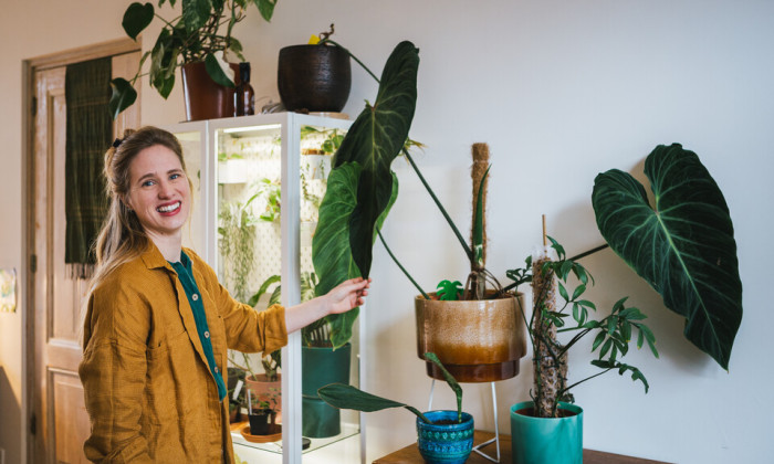 Plantentips van Mama Botanica
