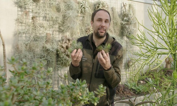 Tuinieren met kamerplanten