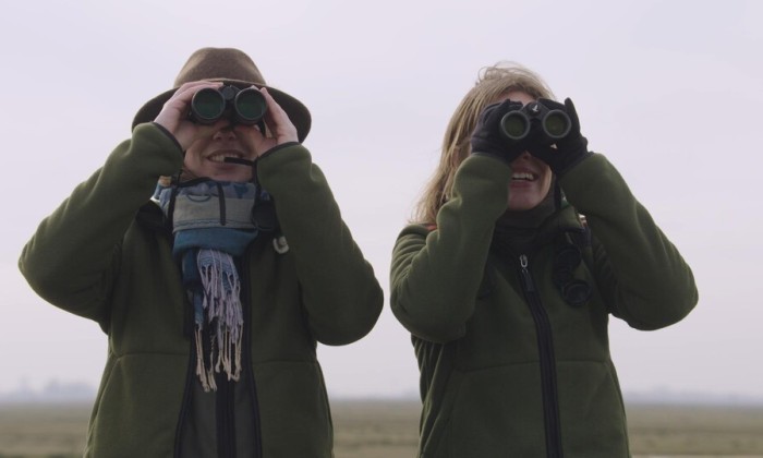 De winterse polder Arkemheen