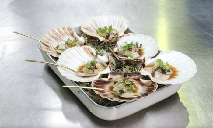 Coquilles