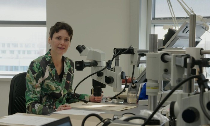 Botanisch tekenen bij Kasteel Oud-Poelgeest