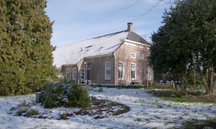 400 verschillende helleborussen