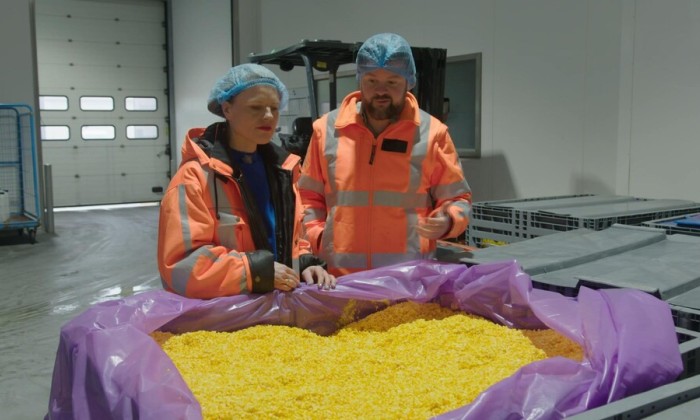 Van sinaasappelschil tot afwasmiddel