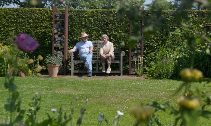 Kleurrijke tuin vol beuken en rozen