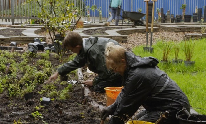 schoolplein dordrecht