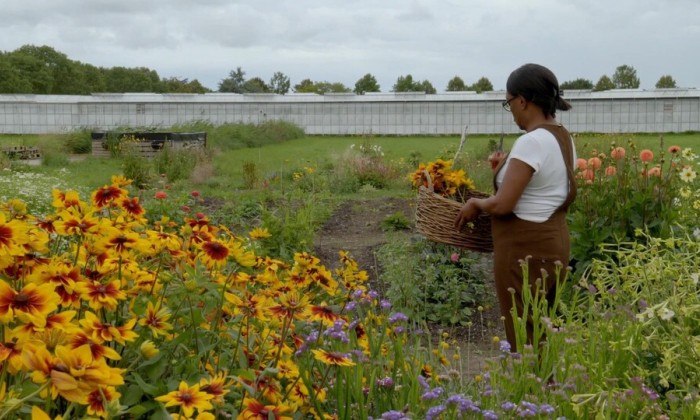 Geneal kookt met biologische Surinaamse groenten