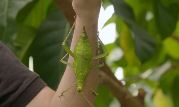 De bewoners van de Hortus in Leiden