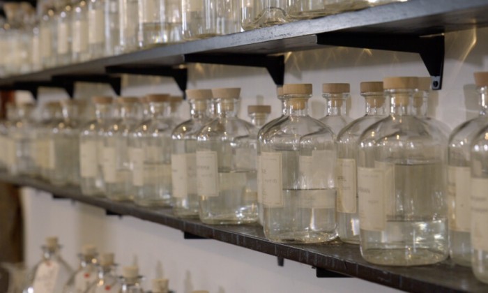 Alain proeft Zeeuwse gin vol ingrediënten van Zeeuwse bodem