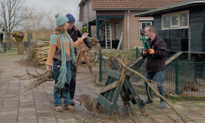 Manon en Simon krijgen hulp met wilgen knotten