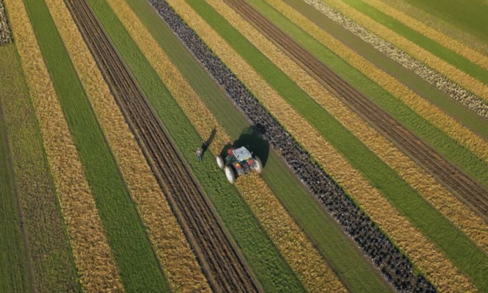 Chef-kok Rosah proeft en kookt met de afgekeurde wortelen van Cornelis