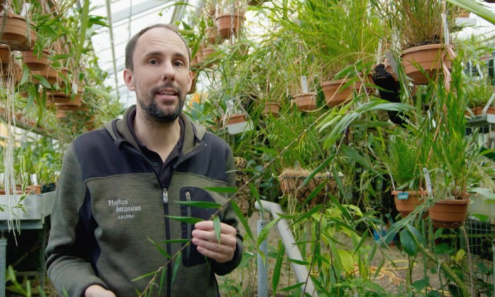 Plantenexpert Rogier weet alles over plantennamen