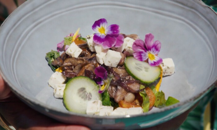 Salade met bloemen en kruiden