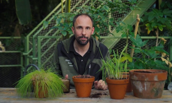 Rogier waarschuwt voor bepaalde planten