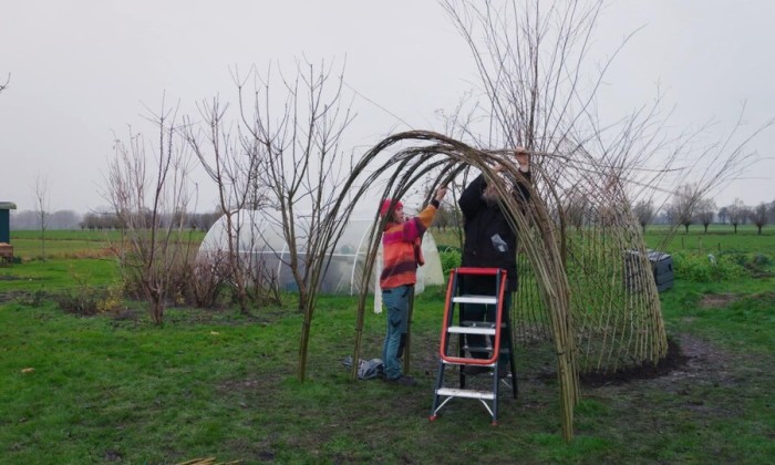Met wilgenhout kan je vlechten en van alles maken, Manon bouwt een hut