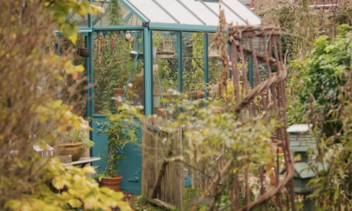 De bomen hebben hun blad verloren maar in de kas bloeit de Jasmijn alsof het nog zomer is! Duurzame tuinvrouw Anne vertelt hoe dat kan en hoe je zelf zonder tuin je eigen gember kan kweken.