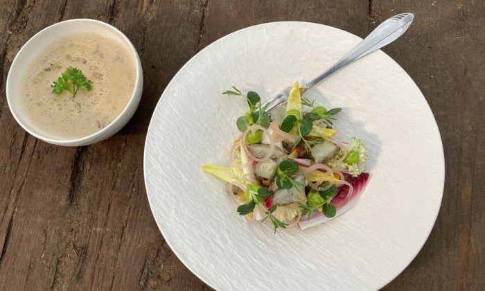 Aardpeer soep en salade