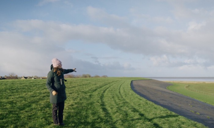 Vogelaar Camilla ziet de sneeuwgors in Paessens kwelder