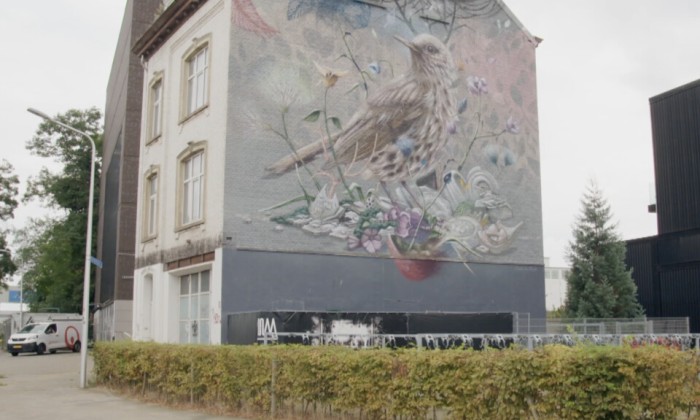 Moderne muurschilderingen