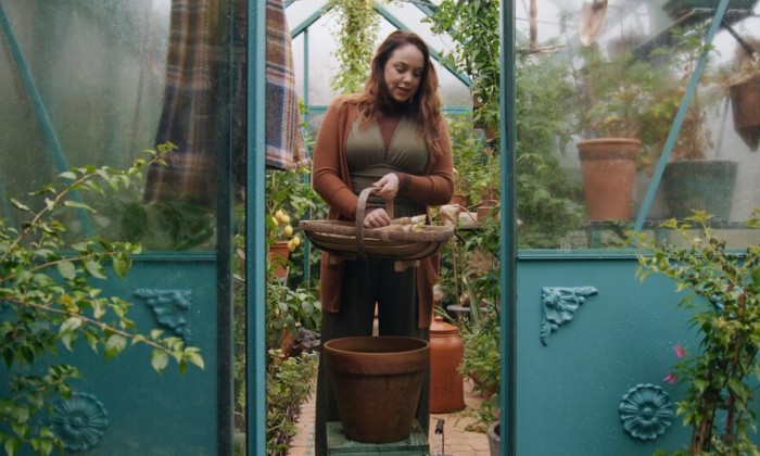 Anne begint met het zaaien van Lathyrus en het kweken van witlof