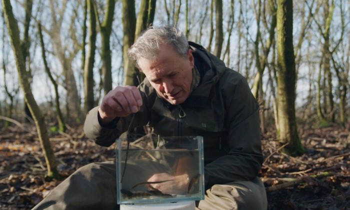 Romeo ontdekt bijzondere vissen in Vaassen