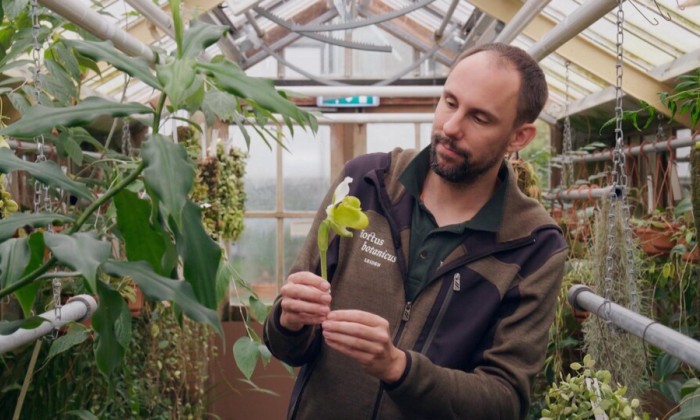 Rogier van Vugt vertelt over het Venusschoentje