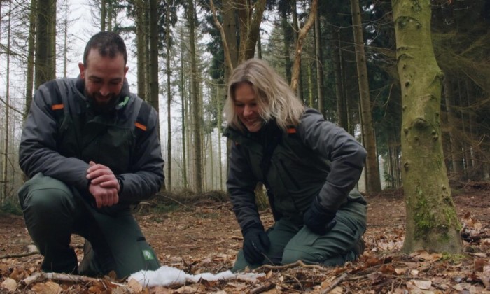 Marieke zoekt zwijntjes op de Veluwe