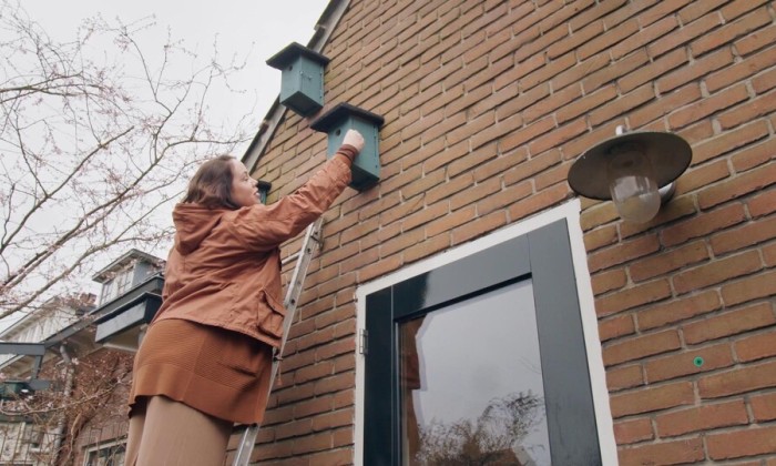 In de tuin van Anne Wieggers is het voorjaar begonnen