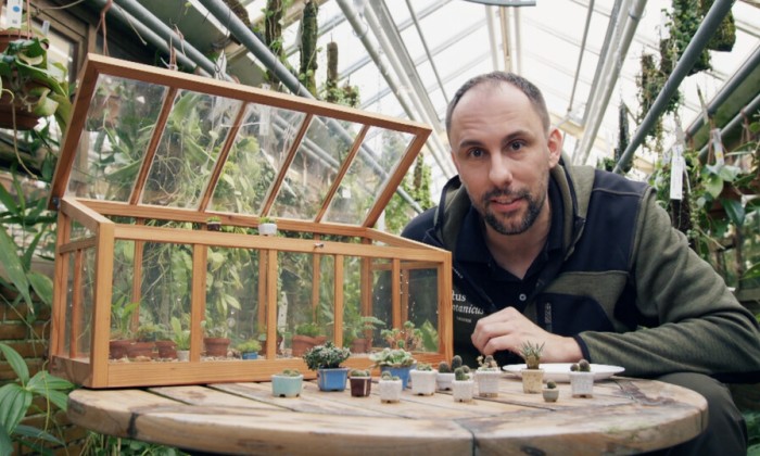 Rogier van Vugt met mini plantjes
