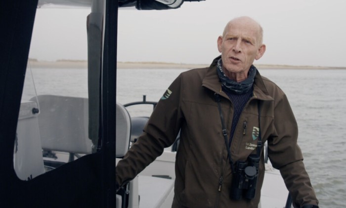 Broedgebieden en zeehonden in de Westerschelde