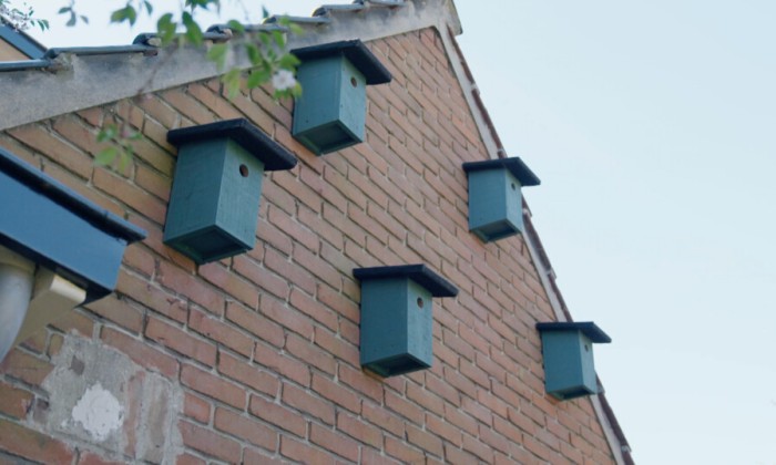 Balkon Anne Wieggers