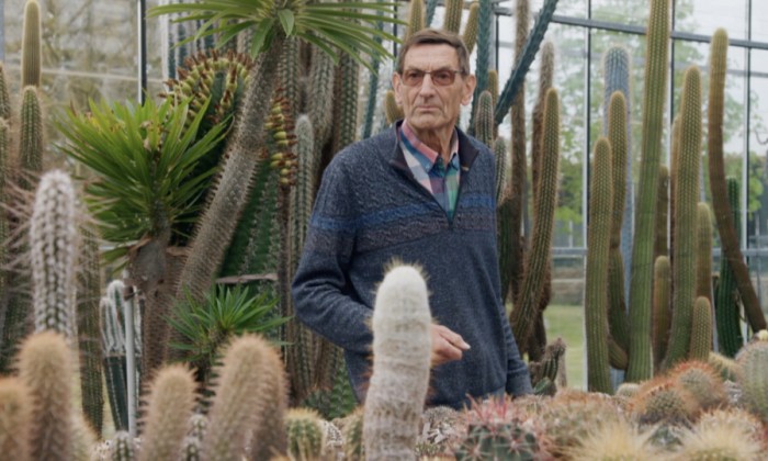 Aad heeft wel 10.000 cactussen