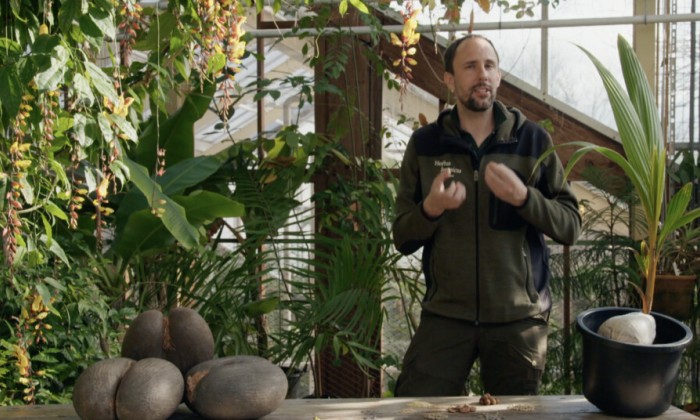 Rogier vertelt over de manieren voor planten om hun zaden te verspreiden