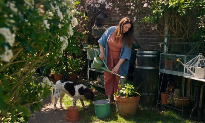 Anne Wieggers haalt de citroenen uit de kas