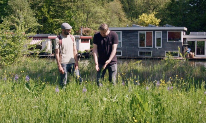Wildplukken in Utrecht