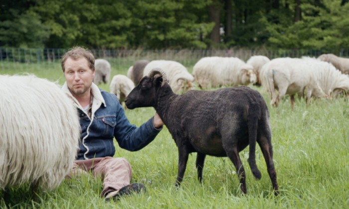Schaapherder Daniel beheert landgoederen met zijn kudde