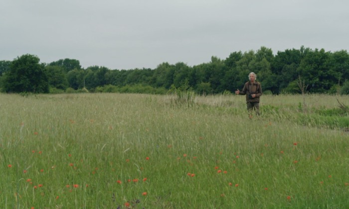 Roel tovert zijn akkers om in een natuurparadijs voor flora en fauna