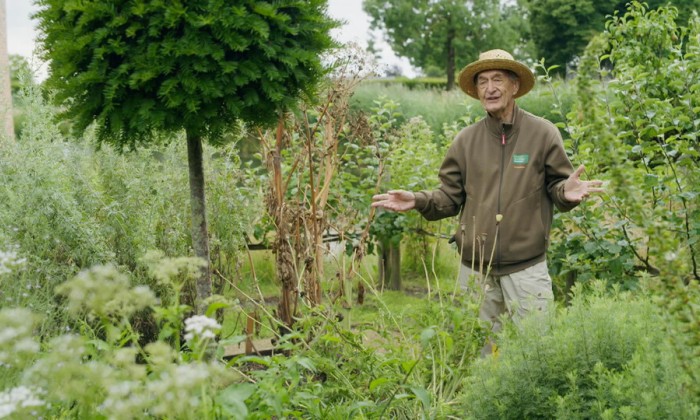 De moestuin van kasteel Ammersoyen