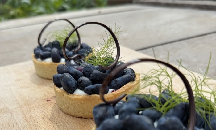 Dessert met honingbes