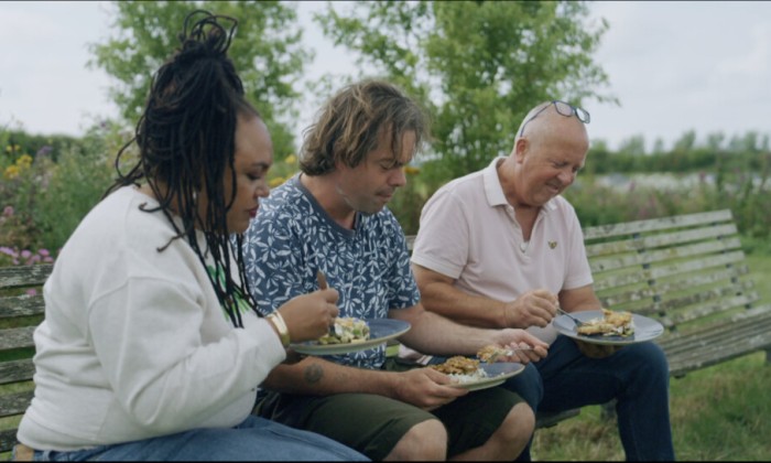 Oesterzwammen gekweekt met koffiedik
