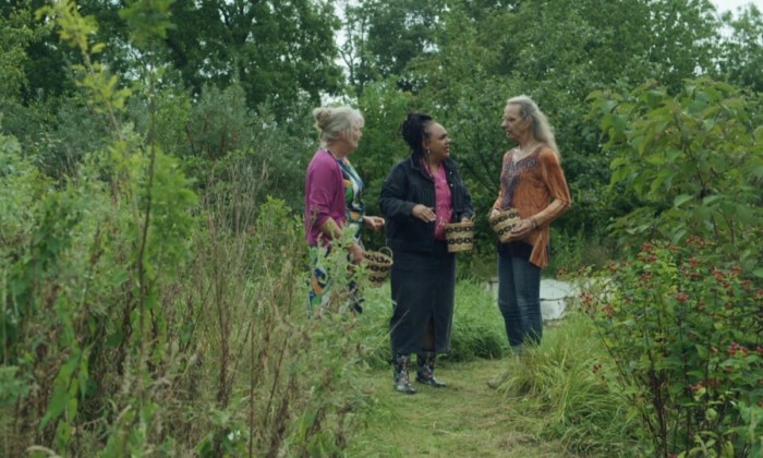 Sharon in een voedselbos