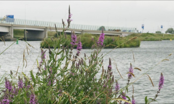 Aangelegde eilandjes bij Amsterdam