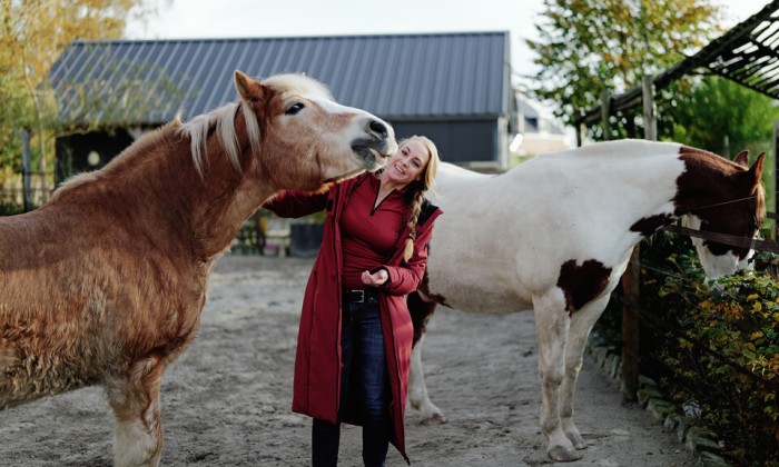 Paardenparadijs - Fotografie: Marjon Lukje