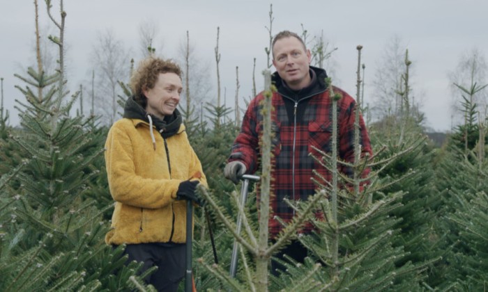 Duurzame kerstbomen van Stephanie en Frank